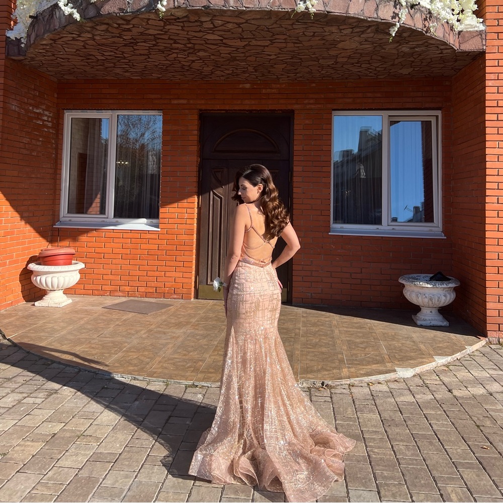 Sparkly dress in great condition.